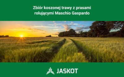 Zbiór koszonej trawy z prasami rolującymi Maschio Gaspardo
